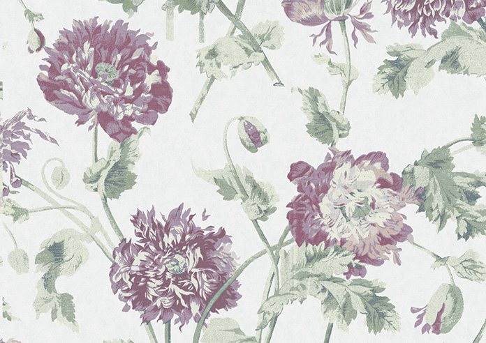 Laura Ashley Hepworth, Grape - Roller Blind - Image 6